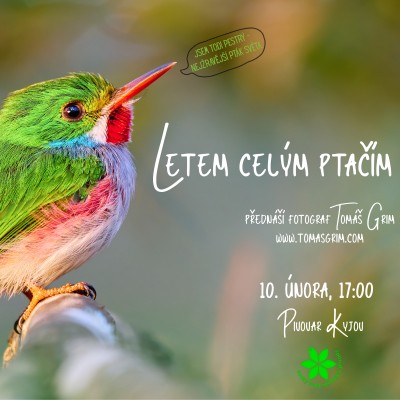 Letem celým ptačím světem